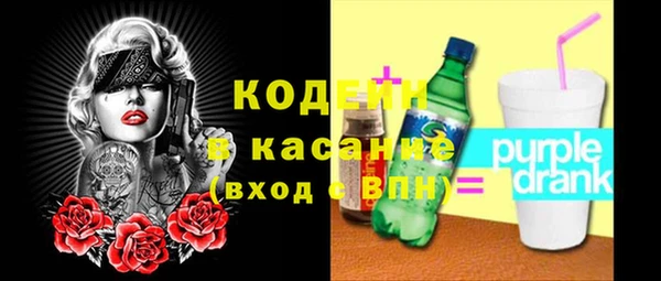 индика Балахна