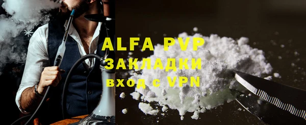 индика Балахна