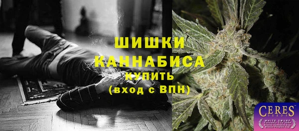 spice Арсеньев
