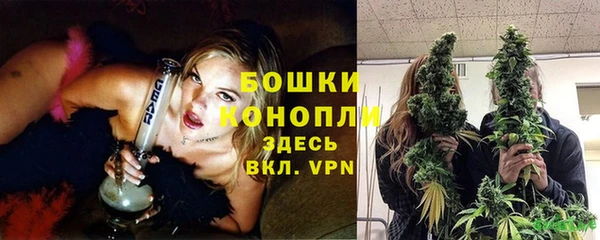 spice Арсеньев