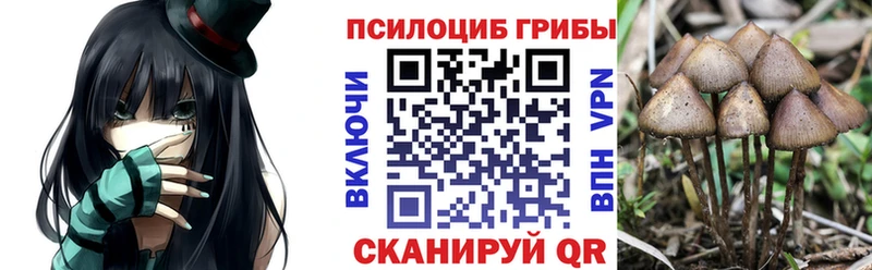 Галлюциногенные грибы MAGIC MUSHROOMS  МЕГА ссылка  Кулебаки 